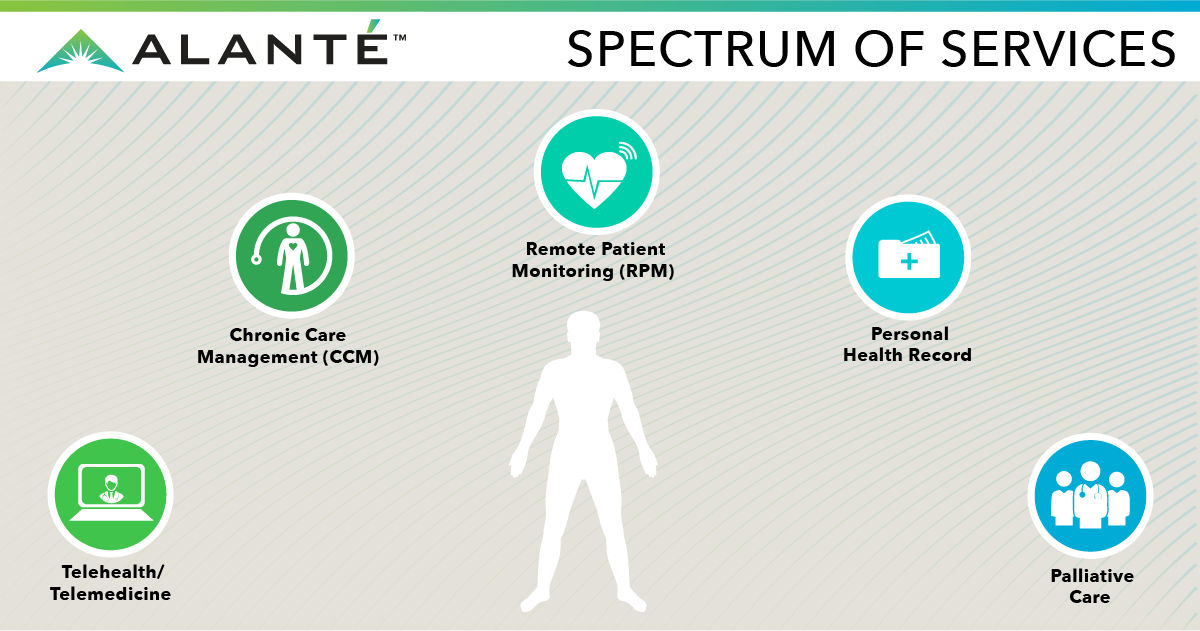 Our Company in Real Life: A Spectrum of Success